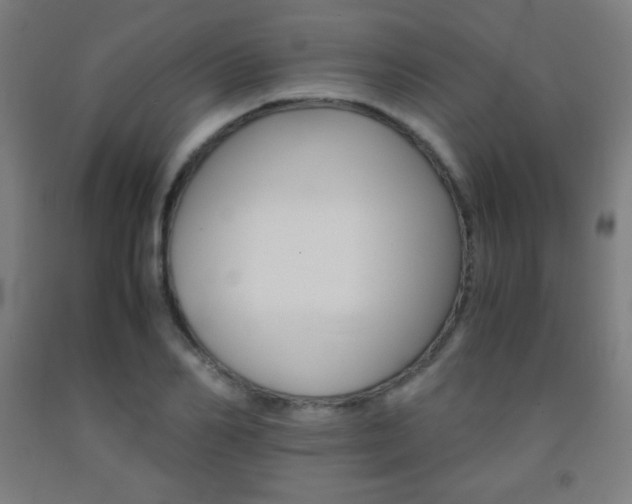 X0000093120982200709261010