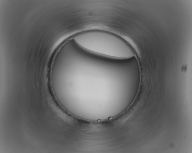 X0000093120983200709261010