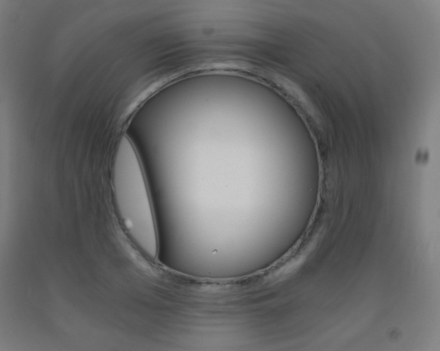 X0000093120985200709261010