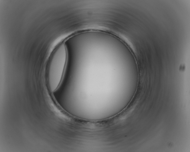 X0000093120987200709261010