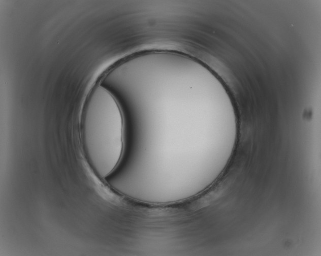 X0000093120988200709261010
