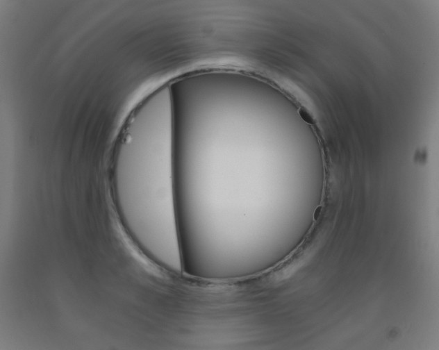 X0000093120989200709261010
