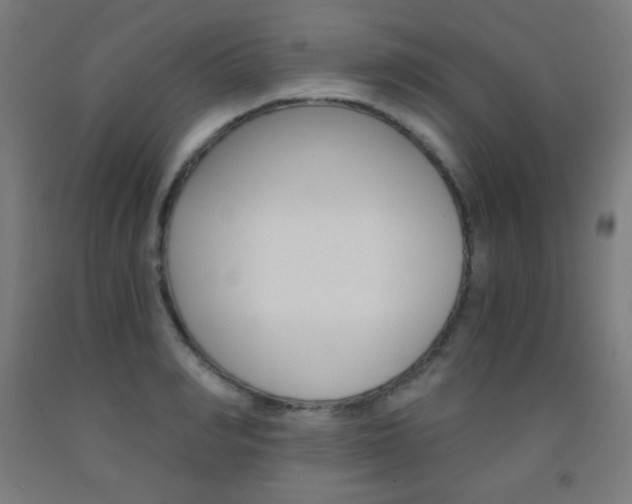 X0000093120990200709261010