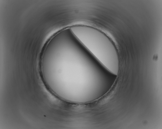 X0000093120991200709261010