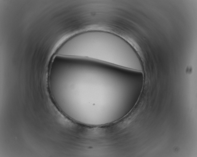 X0000093120992200709261010