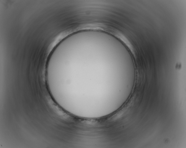 X0000093120994200709261010