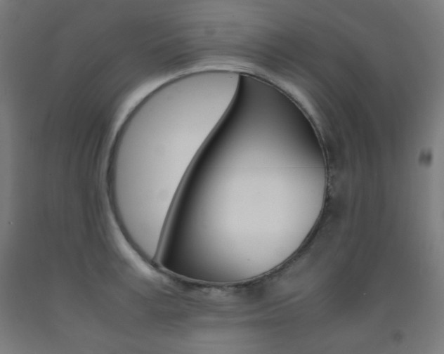 X0000093120995200709261010