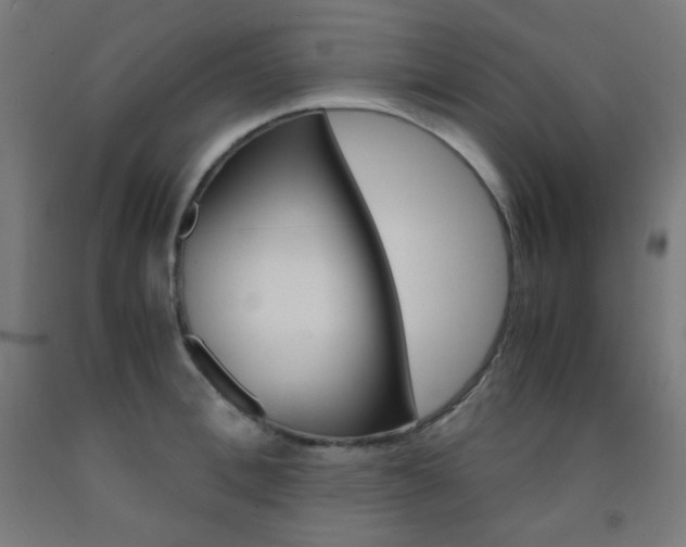 X0000093120996200709261010