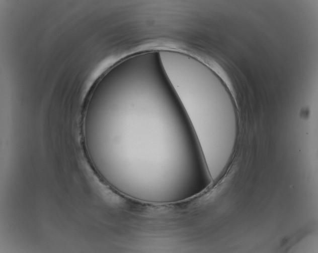 X0000093120997200709261010