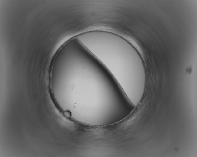 X0000093120999200709261010