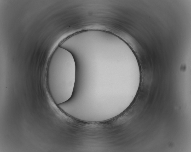 X0000093121000200709261010