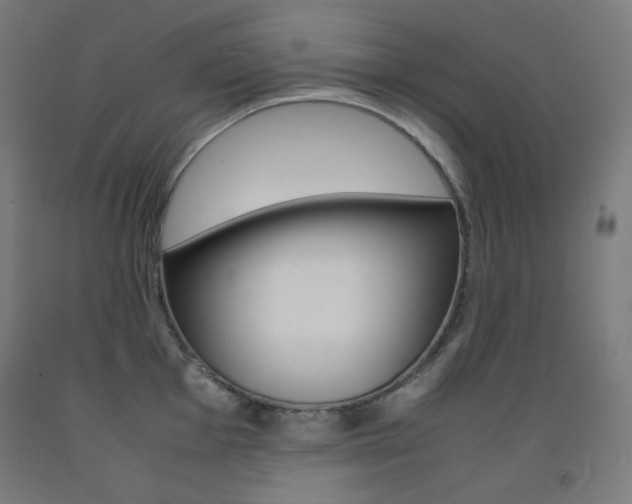 X0000093121001200709261010