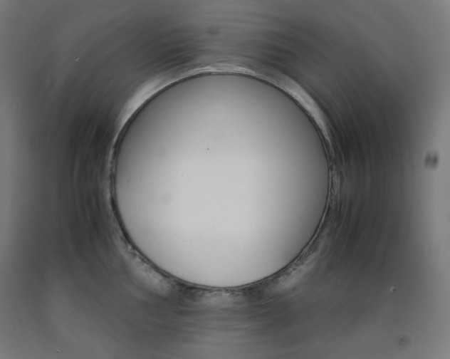 X0000093121002200709261010