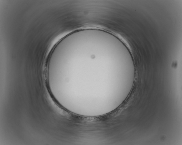 X0000093121003200709261010