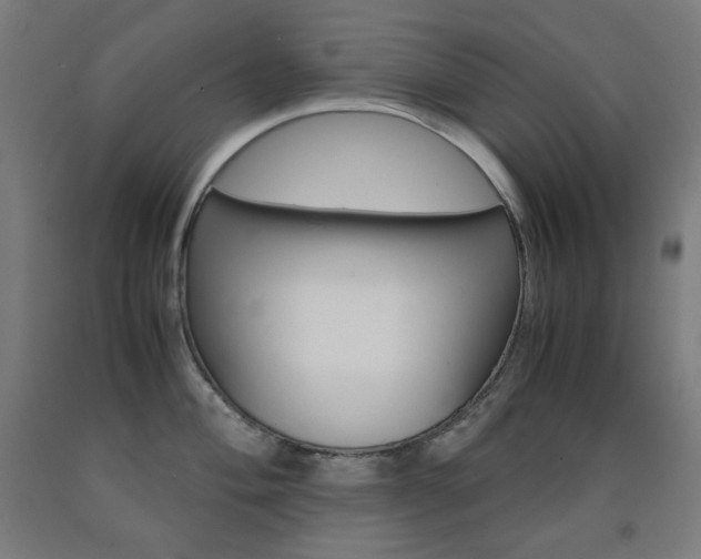 X0000093121004200709261010