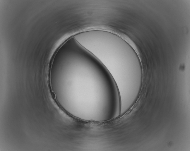 X0000093121005200709261010