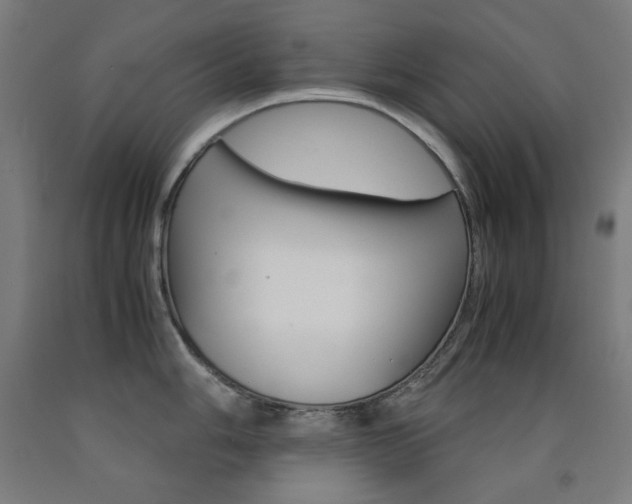 X0000093121006200709261010
