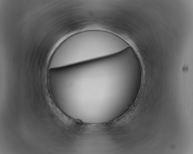 X0000093121008200709261010