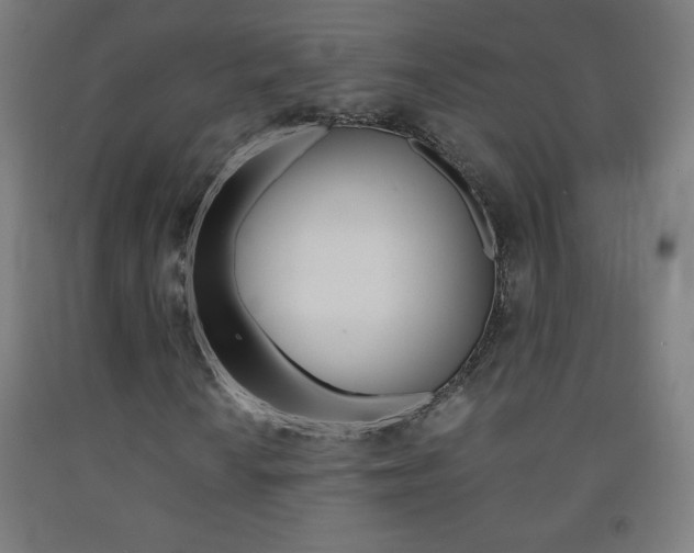 X0000093121010200709261009