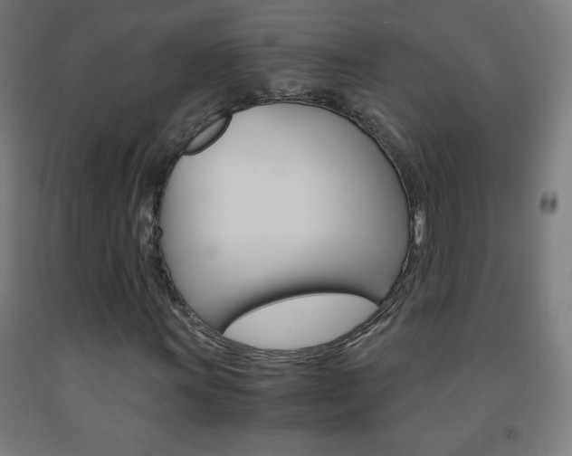 X0000093121011200709261009