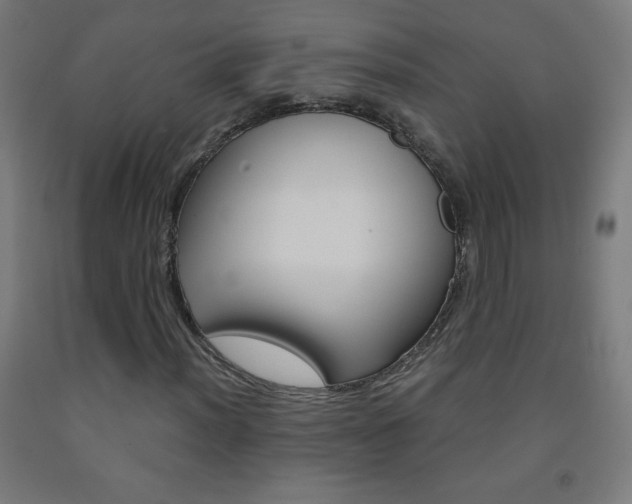 X0000093121012200709261009