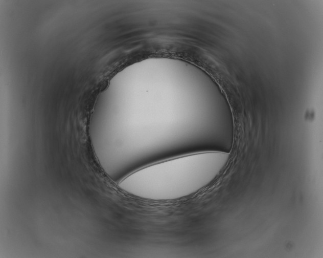X0000093121013200709261009
