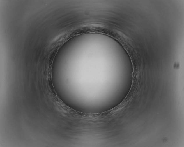 X0000093121014200709261009