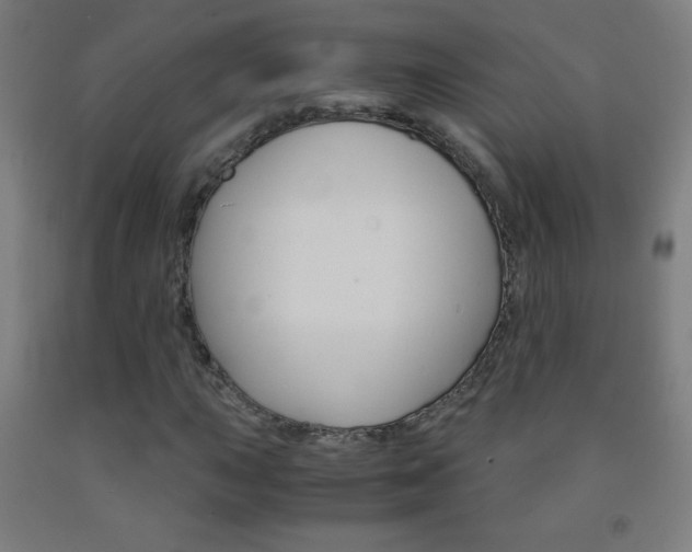 X0000093121015200709261009