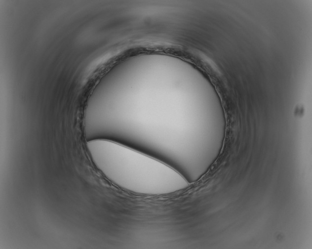 X0000093121016200709261009