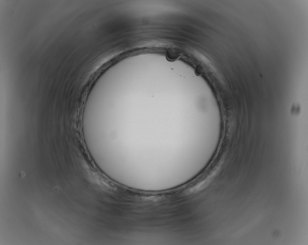 X0000093121017200709261009