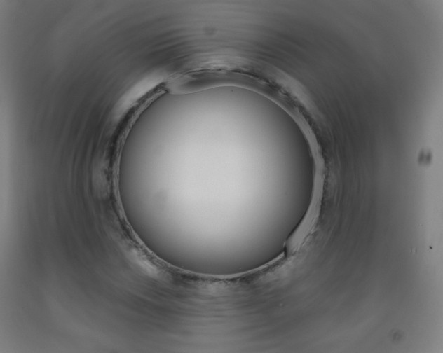 X0000093121018200709261009