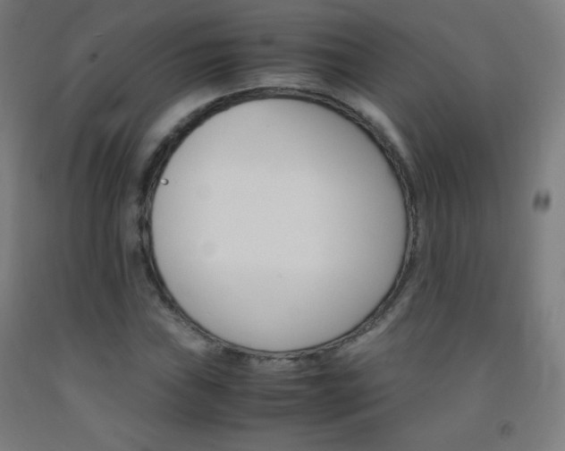 X0000093121019200709261009