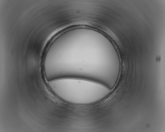 X0000093121020200709261009