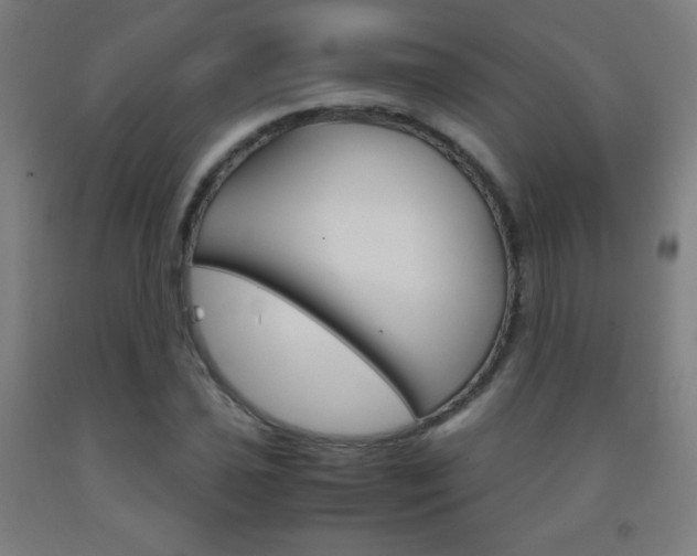 X0000093121021200709261009