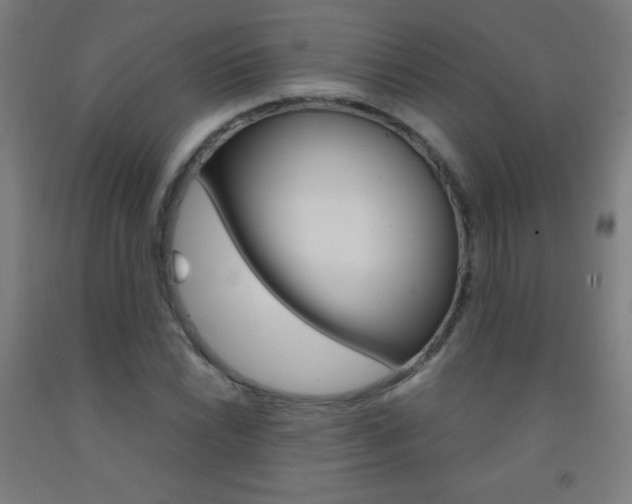 X0000093121022200709261009