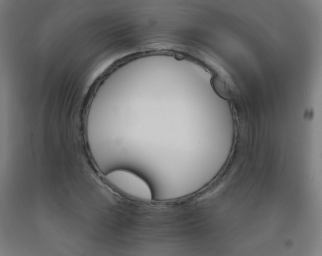 X0000093121023200709261009