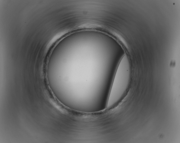 X0000093121026200709261009