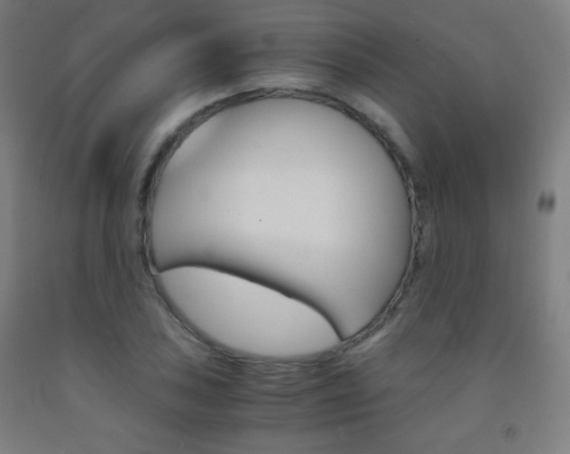 X0000093121027200709261009