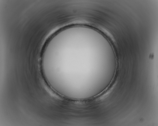 X0000093121029200709261009