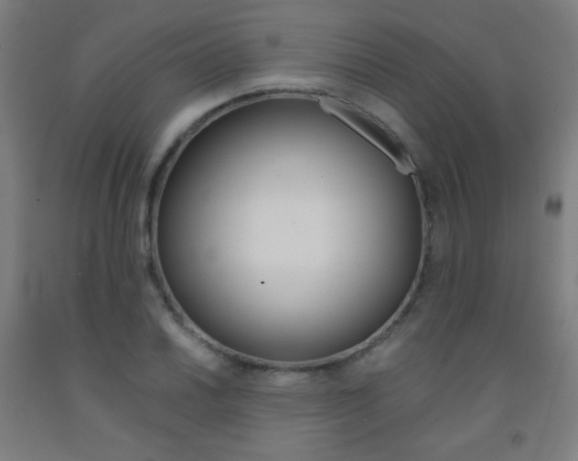 X0000093121030200709261009
