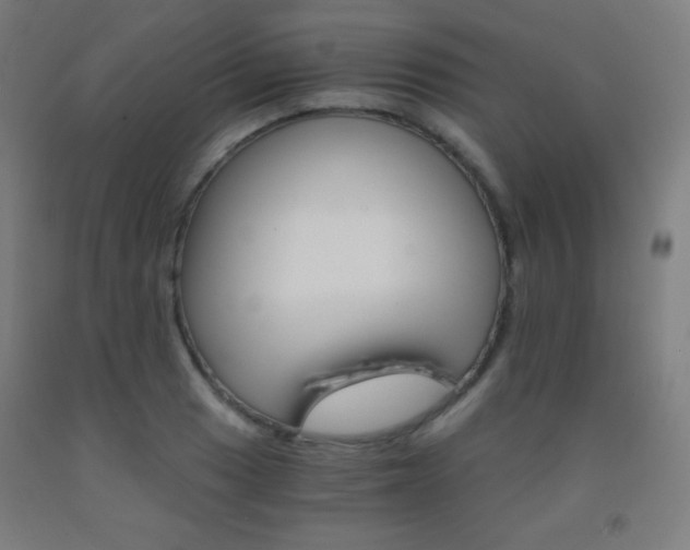 X0000093121033200709261009
