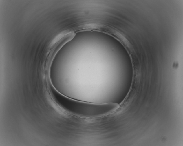 X0000093121034200709261009