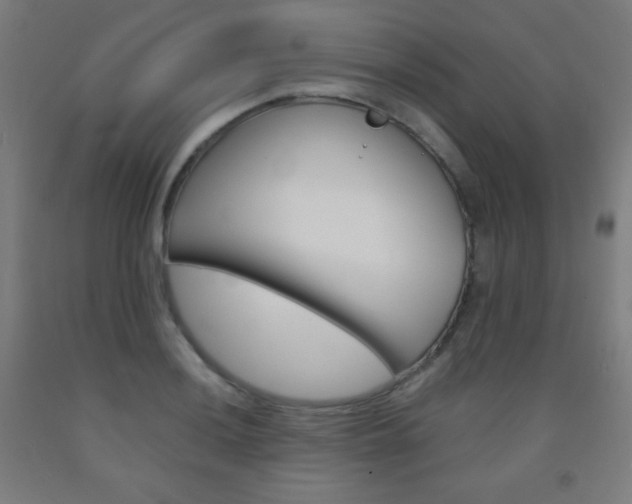 X0000093121036200709261009