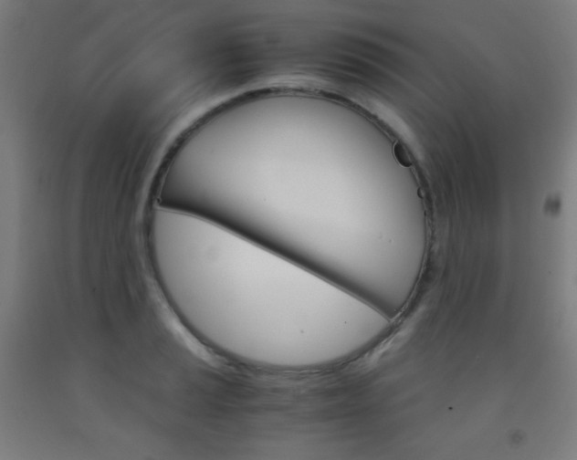 X0000093121037200709261010