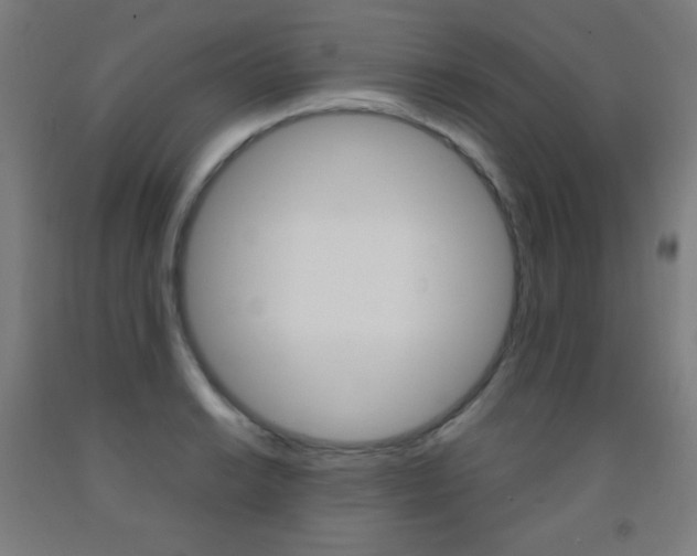 X0000093121038200709261010