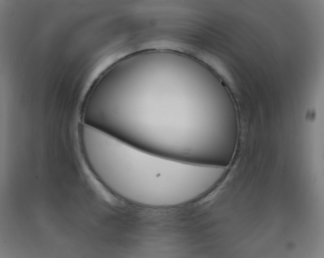 X0000093121040200709261010