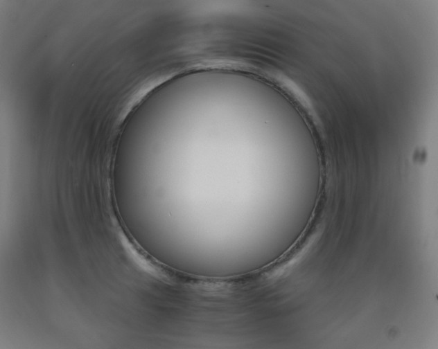 X0000093121041200709261010