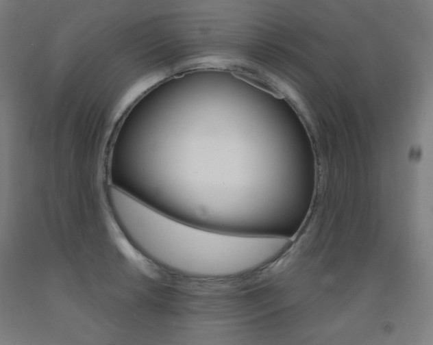 X0000093121042200709261010