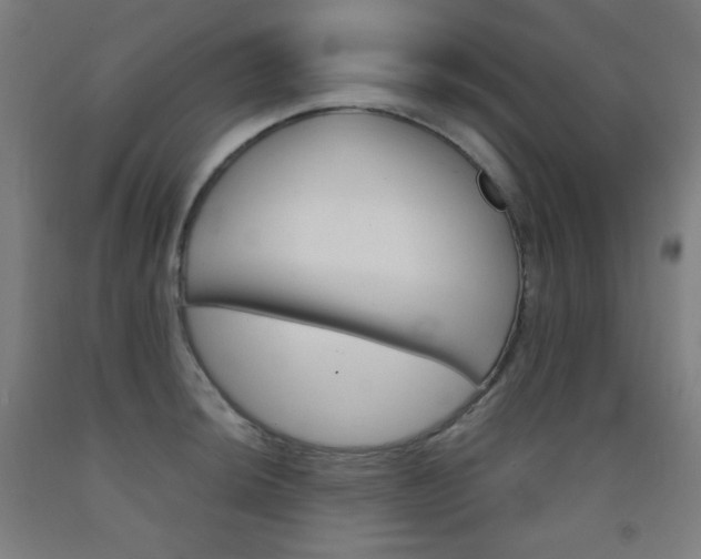X0000093121044200709261010