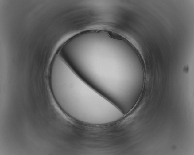 X0000093121045200709261010
